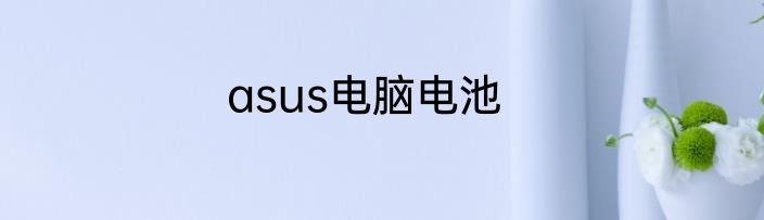 asus电脑电池