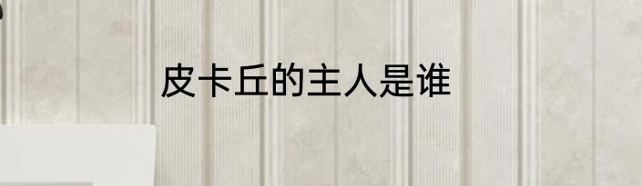 皮卡丘的主人是谁