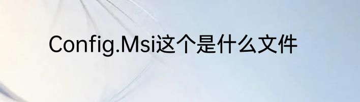 Config.Msi这个是什么文件
