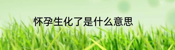 怀孕生化了是什么意思