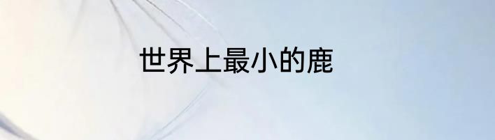 世界上最小的鹿
