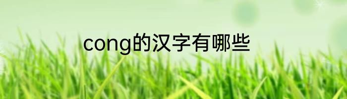 cong的汉字有哪些