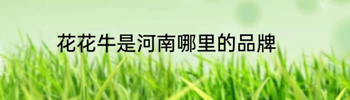 花花牛是河南哪里的品牌