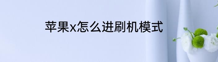 苹果x怎么进刷机模式