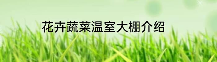 花卉蔬菜温室大棚介绍