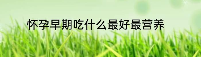 怀孕早期吃什么最好最营养