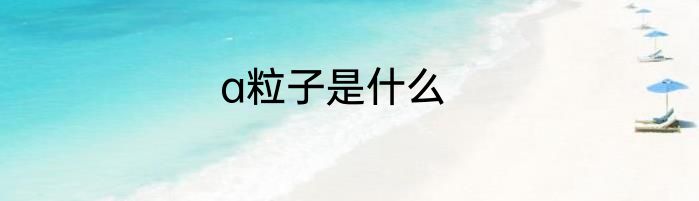 a粒子是什么