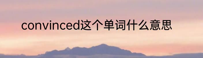 convinced这个单词什么意思
