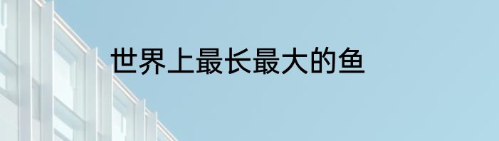世界上最长最大的鱼