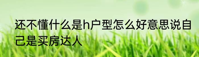 还不懂什么是h户型怎么好意思说自己是买房达人