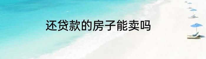 还贷款的房子能卖吗