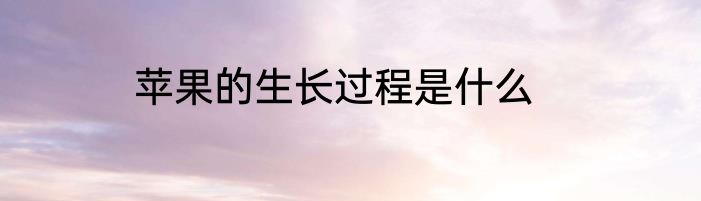 苹果的生长过程是什么