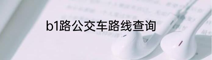 b1路公交车路线查询