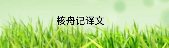 核舟记译文