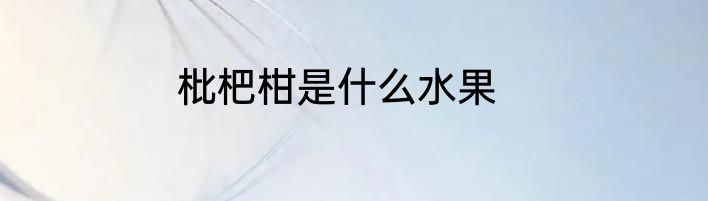 枇杷柑是什么水果