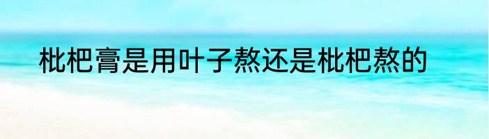 枇杷膏是用叶子熬还是枇杷熬的