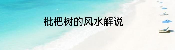 枇杷树的风水解说