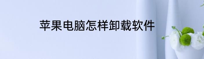 苹果电脑怎样卸载软件