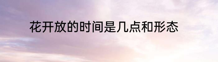 花开放的时间是几点和形态