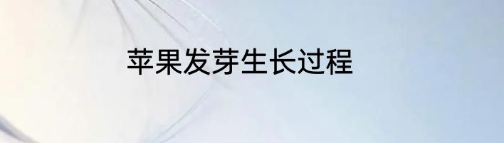 苹果发芽生长过程