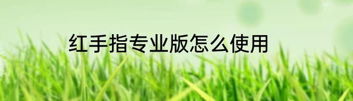 红手指专业版怎么使用