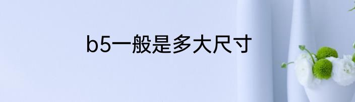 b5一般是多大尺寸