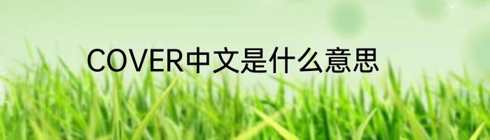 COVER中文是什么意思