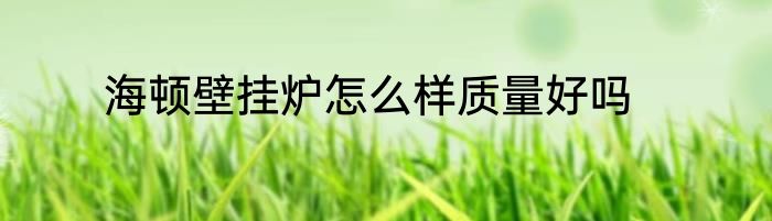 海顿壁挂炉怎么样质量好吗