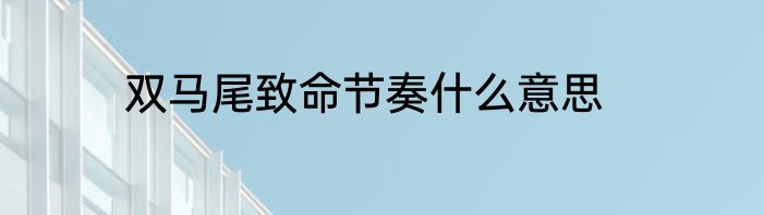 双马尾致命节奏什么意思