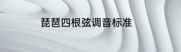 琵琶四根弦调音标准