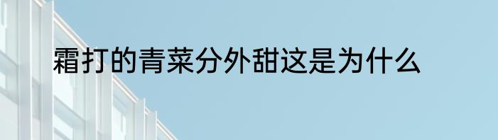 霜打的青菜分外甜这是为什么