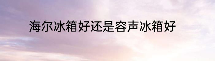 海尔冰箱好还是容声冰箱好