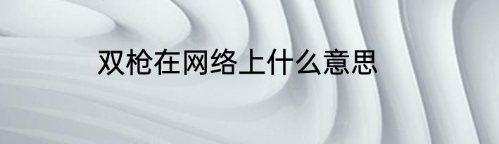 双枪在网络上什么意思