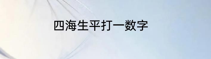 四海生平打一数字