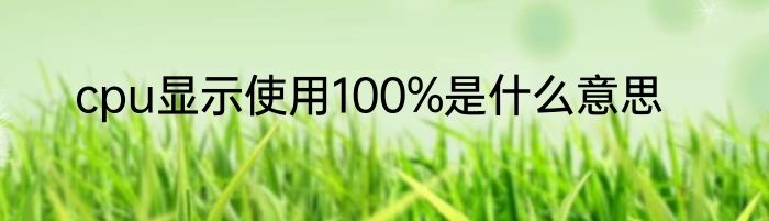 cpu显示使用100%是什么意思