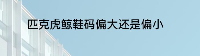 匹克虎鲸鞋码偏大还是偏小