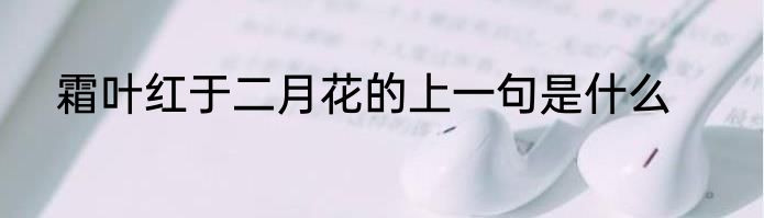 霜叶红于二月花的上一句是什么