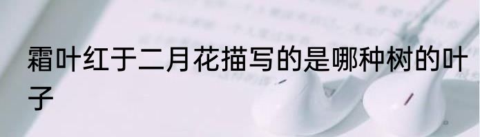 霜叶红于二月花描写的是哪种树的叶子