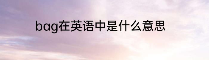 bag在英语中是什么意思