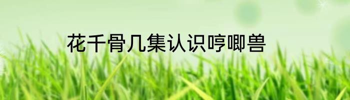 花千骨几集认识哼唧兽
