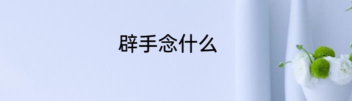 辟手念什么