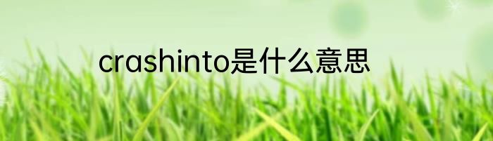 crashinto是什么意思