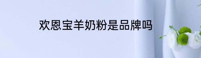 欢恩宝羊奶粉是品牌吗
