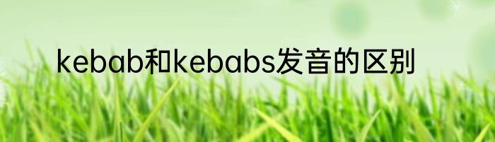 kebab和kebabs发音的区别
