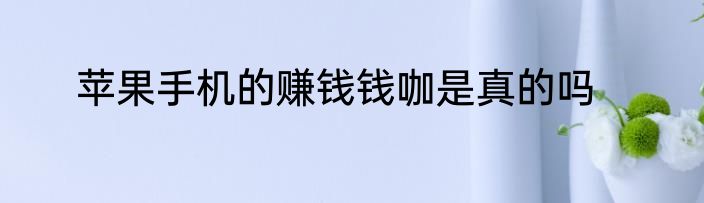 苹果手机的赚钱钱咖是真的吗