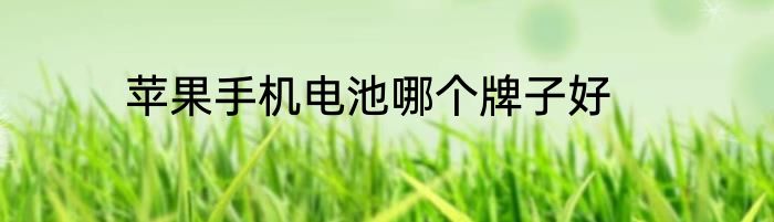 苹果手机电池哪个牌子好