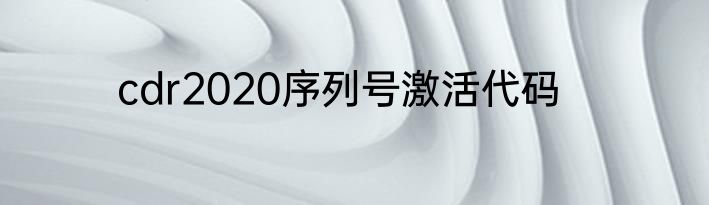 cdr2020序列号激活代码