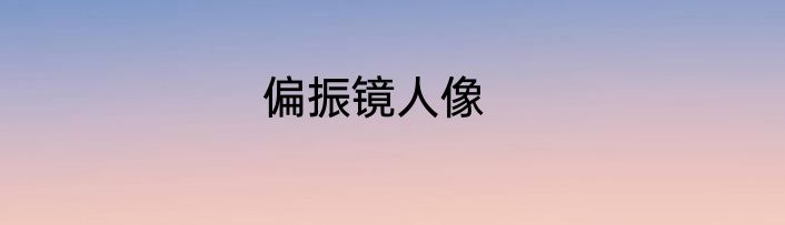 偏振镜人像