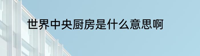 世界中央厨房是什么意思啊