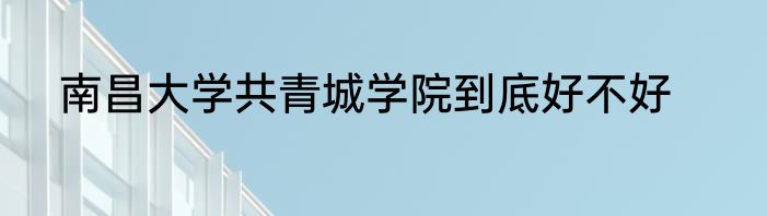 南昌大学共青城学院到底好不好